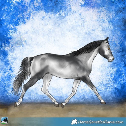 Horse Color:Brown Chinchilla Onyx Sabino 