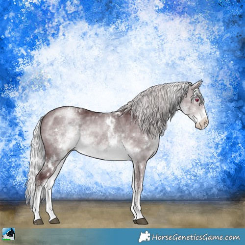 Horse Color:White Spotted Chocolate Silver Brown Chinchilla Rabicano