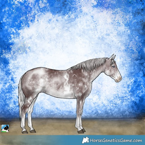 Horse Color:White Spotted Chocolate Silver Brown Chinchilla Rabicano 