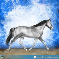 Horse Color:Blue Onyx Chinchilla Ice