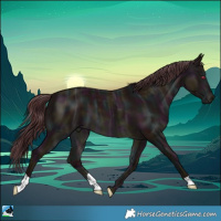 Horse Color:Midnight Chocolate Brown Chinchilla Ice 