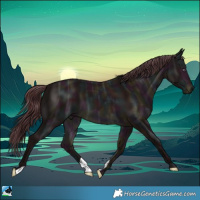 Horse Color:Midnight Chocolate Brown Chinchilla Ice 