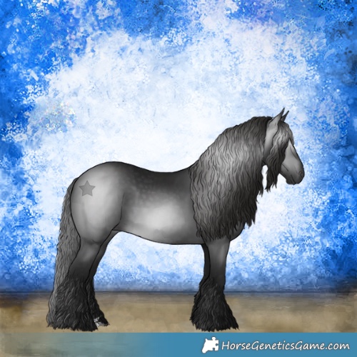 Horse Color:Gray Black 