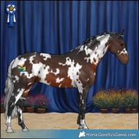 Horse Color:White Spotted Brown 