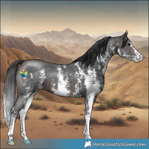 Horse Color:Brown Sabino 