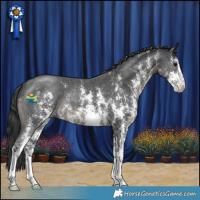 Horse Color:Black Sabino