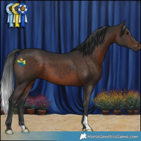 Horse Color:Brown 