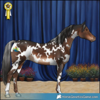 Horse Color:White Spotted Liver Chestnut 
