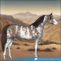 Horse Color:Liver Chestnut Sabino 