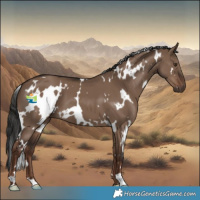 Horse Color:White Spotted Liver Red Dun 