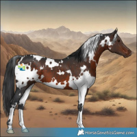 Horse Color:White Spotted Brown 