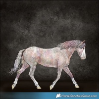 Horse Color:Nacre Silver Brown Ice Roan
