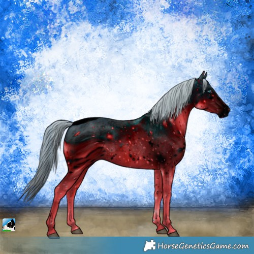 Horse Color:ERROR: UNKNOWN ANOMALY