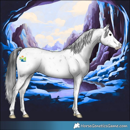 Horse Color:Black Sabino 