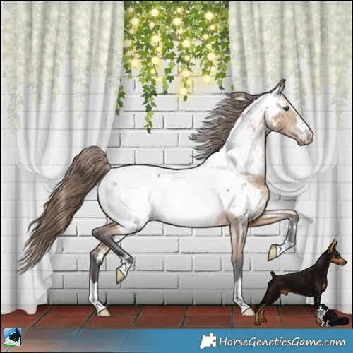 Horse Color:Bay Dun Near Fewspot