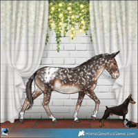 Horse Color:Liver Chestnut Blanket 