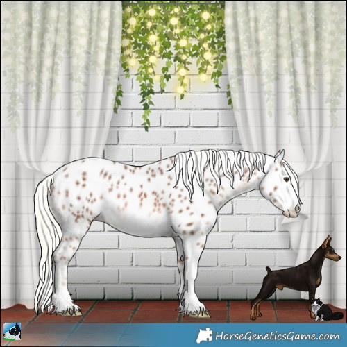 Horse Color:Chestnut Mushroom Leopard 