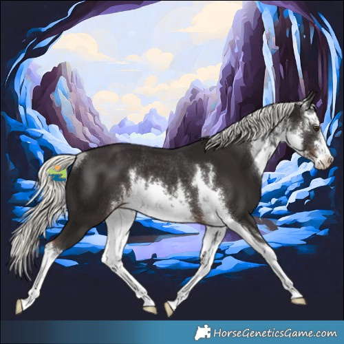 Horse Color:White Spotted Liver Chestnut Mushroom Rabicano 