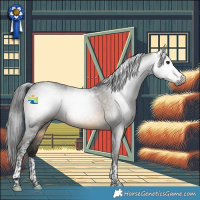 Horse Color:Gray Buckskin Tobiano