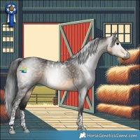 Horse Color:Gray Buckskin Tobiano 