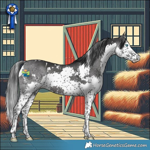 Horse Color:White Spotted Black Splash 