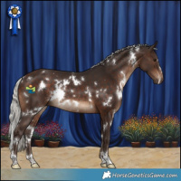 Horse Color:White Spotted Silver Brown Rabicano 