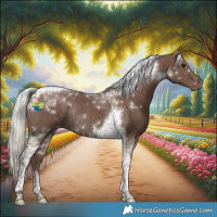 Horse Color:Silver Black Tobiano Appaloosa Rabicano 