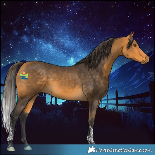 Horse Color:Buckskin Tobiano 