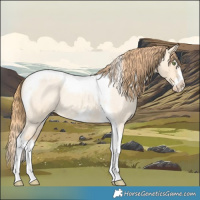 Horse Color:Gold Champagne Roan Dun Splash Tobiano Frame Appaloosa Rabicano 