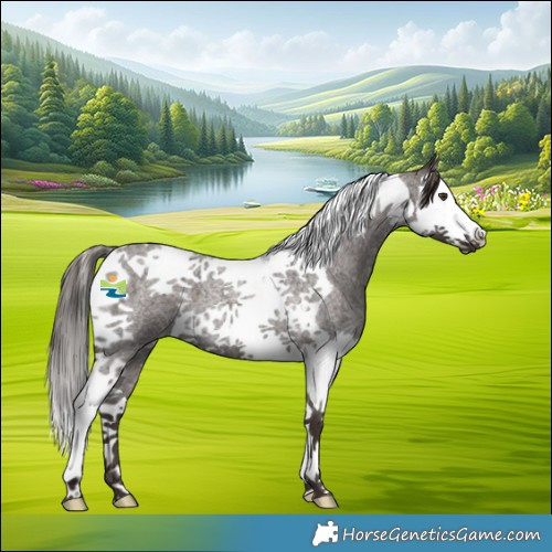 Horse Color:Liver Red Roan Splash Tobiano 