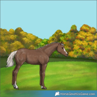 Horse Color:Silver Black 