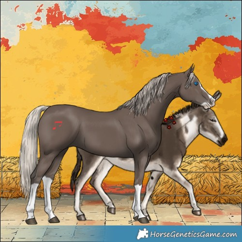 Horse Color:Silver Black Splash 