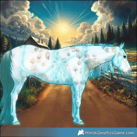Horse Color:Thunderstruck White Spotted Buckskin Ice Tobiano Frame 