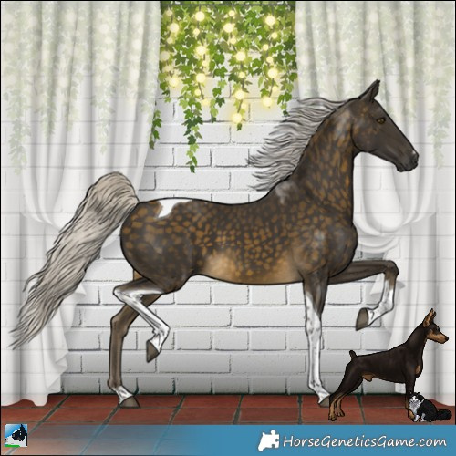 Horse Color:Silver Buckskin Tobiano