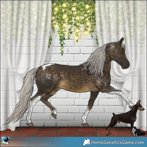 Horse Color:Silver Buckskin Tobiano