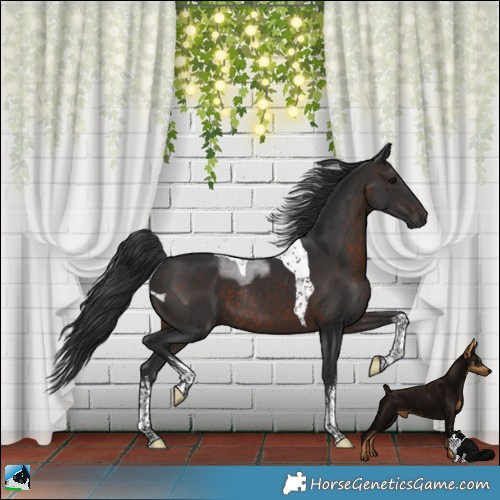 Horse Color:White Spotted Brown Mushroom Tobiano Rabicano