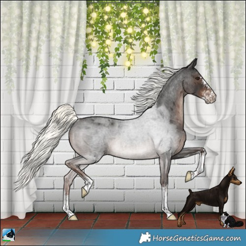 Horse Color:Liver Red Roan Mushroom Sabino Rabicano