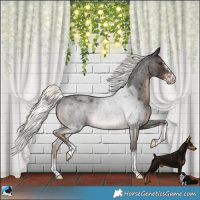 Horse Color:Liver Red Roan Mushroom Sabino Rabicano