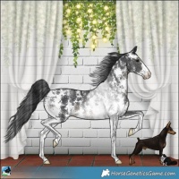 Horse Color:Black Sabino