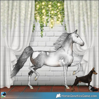 Horse Color:Gray White Spotted Brown Tobiano Rabicano 