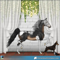 Horse Color:Gray White Spotted Brown Tobiano Rabicano 