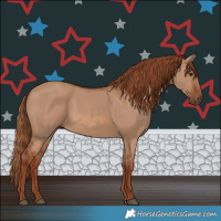Horse Color:Red Dun 