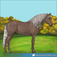 Horse Color:Silver Black 