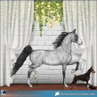 Horse Color:Blue Roan Sabino Rabicano 