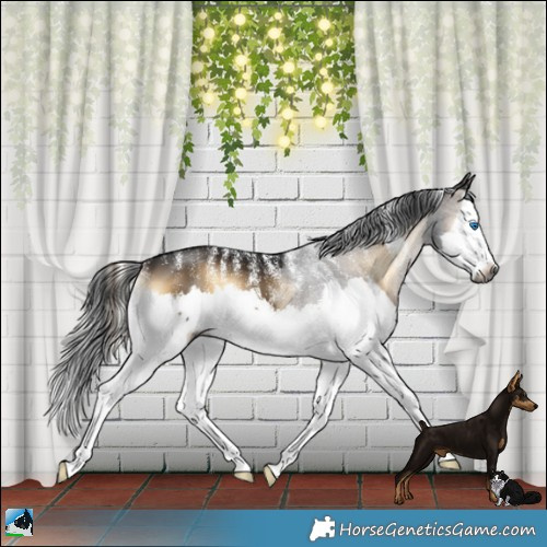 Horse Color:Powder White Gray White Spotted Brown Onyx Mushroom Splash 