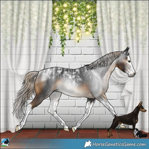 Horse Color:Powder White Gray Chocolate Palomino Mushroom Splash Rabicano