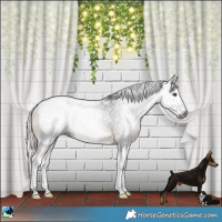 Horse Color:Powder White Gray Chocolate Palomino Mushroom Splash Rabicano 