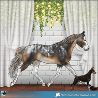 Horse Color:Powder White Gray Chocolate Palomino Mushroom Splash Rabicano