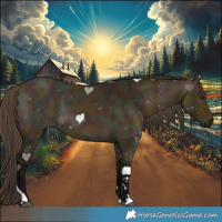 Horse Color:Midnight Buckskin Ice Dun Tobiano 