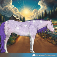 Horse Color:Watercolor Buckskin Ice Dun Tobiano Rabicano